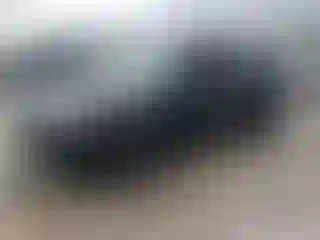 Vehicle Image- 2019 Ford Explorer