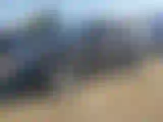 Vehicle Image- 2013 Ford Explorer