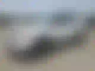 Vehicle Image- 2014 Ford Explorer