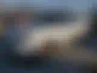 Vehicle Image- 2014 Ford Explorer