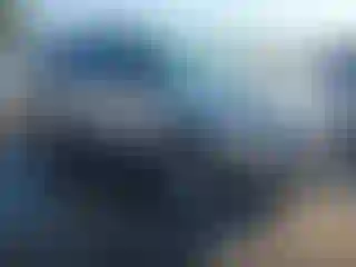 Vehicle Image- 2017 Ford Explorer