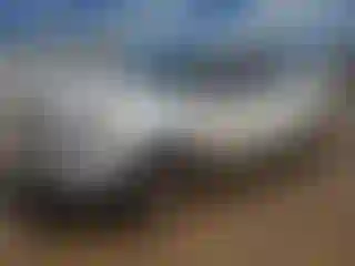 Vehicle Image- 2019 Ford Explorer