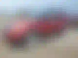 Vehicle Image- 2013 Ford Explorer
