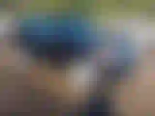 Vehicle Image- 2014 Ford Explorer