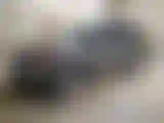 Vehicle Image- 2014 Ford Explorer