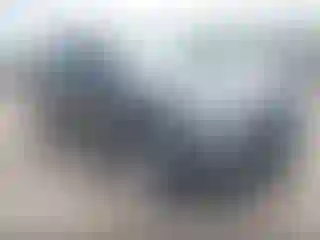 Vehicle Image- 2017 Ford Explorer