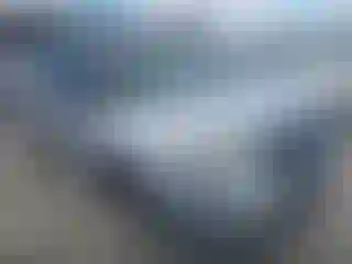 Vehicle Image- 2017 Ford Explorer