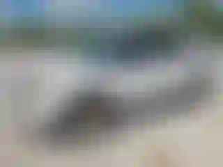 Vehicle Image- 2013 Ford Explorer