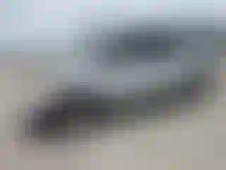 Vehicle Image- 2013 Ford Explorer