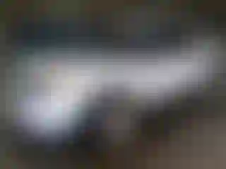 Vehicle Image- 2013 Ford Explorer