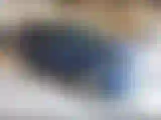 Vehicle Image- 2015 Ford Explorer