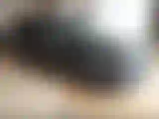 Vehicle Image- 2017 Ford Explorer