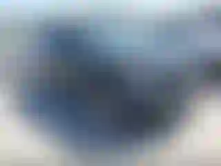Vehicle Image- 2014 Ford Explorer