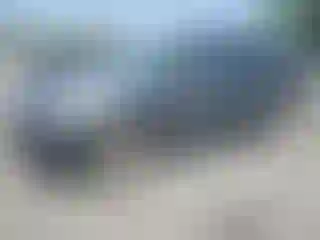 Vehicle Image- 2019 Ford Explorer