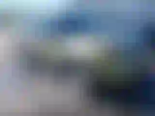 Vehicle Image- 2013 Ford Explorer