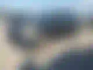 Vehicle Image- 2014 Ford Explorer
