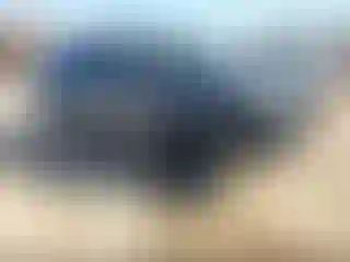 Vehicle Image- 2015 Ford Explorer