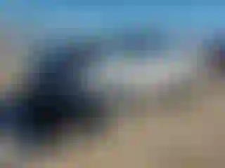 Vehicle Image- 2019 Ford Explorer