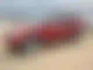 Vehicle Image- 2013 Ford Explorer