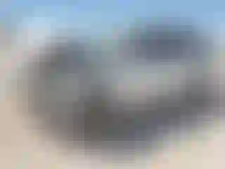 Vehicle Image- 2015 Ford Explorer