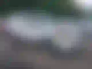 Vehicle Image- 2014 Ford Explorer