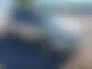 Vehicle Image- 2017 Ford Explorer