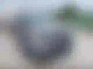 Vehicle Image- 2014 Ford Explorer