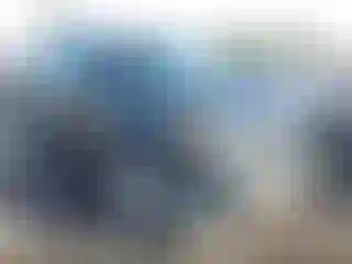 Vehicle Image- 2015 Ford Explorer