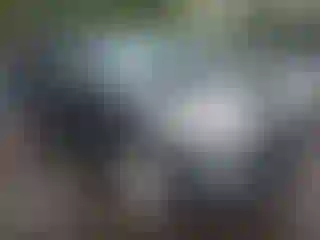 Vehicle Image- 2016 Ford Explorer