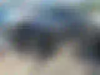 Vehicle Image- 2023 Ford Explorer
