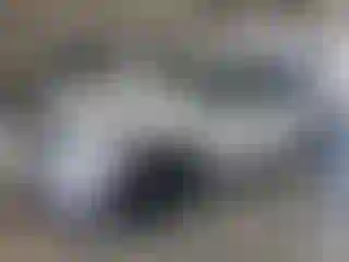 Vehicle Image- 2022 Ford Explorer
