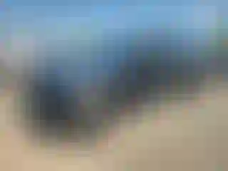 Vehicle Image- 2022 Ford Explorer