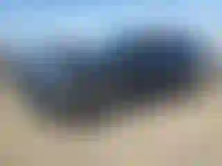 Vehicle Image- 2023 Ford Explorer