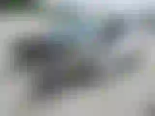 Vehicle Image- 2016 Ford Explorer