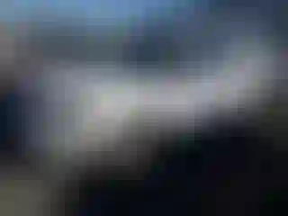 Vehicle Image- 2019 Ford Explorer