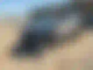 Vehicle Image- 2017 Ford Explorer