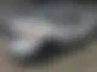 Vehicle Image- 2013 Ford Explorer