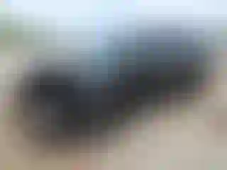 Vehicle Image- 2017 Ford Explorer