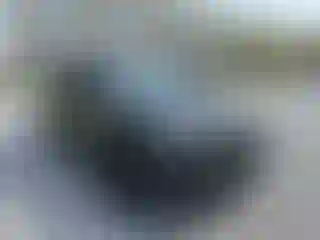 Vehicle Image- 2019 Ford Explorer