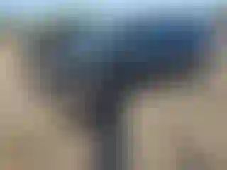 Vehicle Image- 2015 Ford Explorer