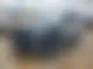 Vehicle Image- 2019 Ford Explorer