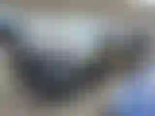 Vehicle Image- 2020 Ford Explorer
