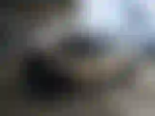 Vehicle Image- 2021 Ford Explorer