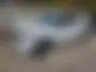 Vehicle Image- 2020 Ford Explorer