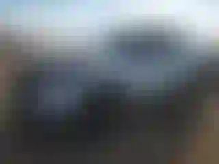 Vehicle Image- 2021 Ford Explorer