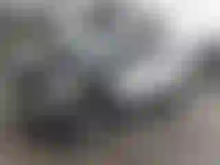 Vehicle Image- 2014 Ford Explorer