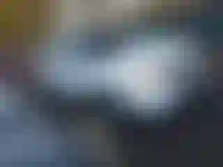 Vehicle Image- 2014 Ford Explorer