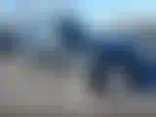 Vehicle Image- 2016 Ford Explorer