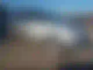 Vehicle Image- 2017 Ford Explorer