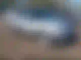 Vehicle Image- 2017 Ford Explorer